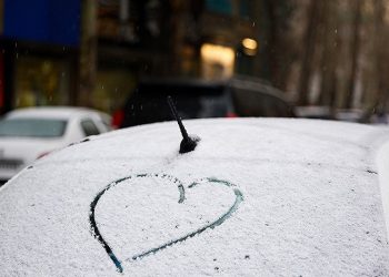 میزبانی از برف