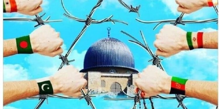 صالحی و رئیس اتحادیه جهانی علمای مسلمان دیدار کردند