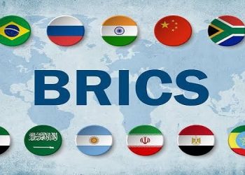 شینا انصاری برای شرکت در نشست وزرای محیط‌زیست کشورهای عضو بریکس عازم برزیل می‌شود