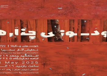 خودسوزی چنارها