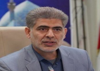 رئیس مرکز ارزشیابی و تضمین کیفیت نظام آموزش و پرورش، توضیح داد که ادعاهای مربوط به فروش سؤالات امتحانی در برخی کانال‌های تلگرامی صحت ندارد و این سؤالات ویرایش‌شده و جعلی هستند. وی افزود: "زمان‌هایی که در این کانال‌ها ثبت می‌شود، قابل‌ویرایش بوده و زمان واقعی بارگذاری را نشان نمی‌دهد." زارعی همچنین فاش کرد که در یکی از این کانال‌ها، سؤالات آزمون ۱۲ ساعت بعد از برگزاری منتشر شده است، اما زمان انتشار دستکاری شده و به قبل از آزمون تغییر یافته تا القا کند که سؤالات پیش از برگزاری آزمون در دسترس بوده‌اند.