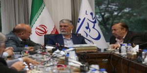  جمعی از نمایندگان مجلس با وزیر فرهنگ
