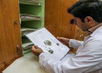 تمدید مهلت فراخوان «جذب مروج- پژوهشگر پسادکتری کشاورزی و منابع طبیعی»