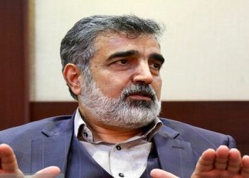 بازرسان آژانس بر تعویض سوخت نیروگاه اتمی بوشهر نظارت می‌کنند