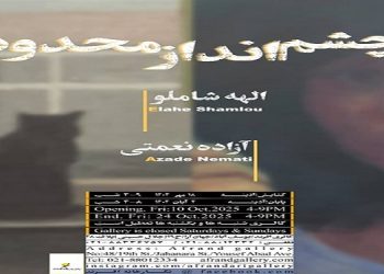 چشم انداز محدود