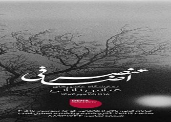 عنصر اضافی