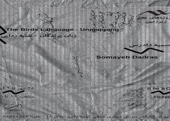 زبان پرندگان-نقشه‌زدایی