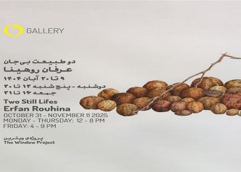 دو طبیعت بی‌جان