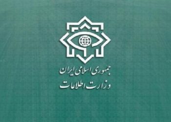 وزارت اطلاعات: دولت فرانسه پاسخگوی مداخلات دیپلمات‌هایش باشد