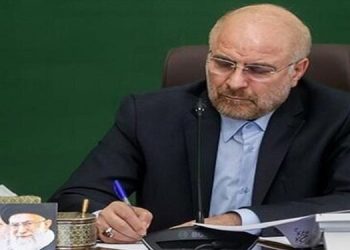 رئیس مجلس ارتحال مادر سه شهید را تسلیت گفت