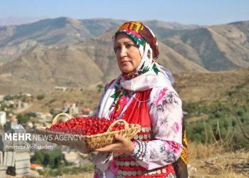 نهمین جشنواره زغال‌اخته در شهرستان کلیبر برگزار می‌شود