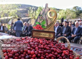 نهمین جشنواره زغال‌اخته کلیبر برگزار می‌شود