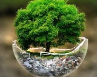 طبیعت؛ آموزگار خاموش زندگی
