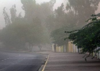 باد شدید و گرد و غبار در زنجان!
