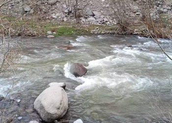 ساماندهی مسیرهای هدایت آب در پارک جنگلی نور