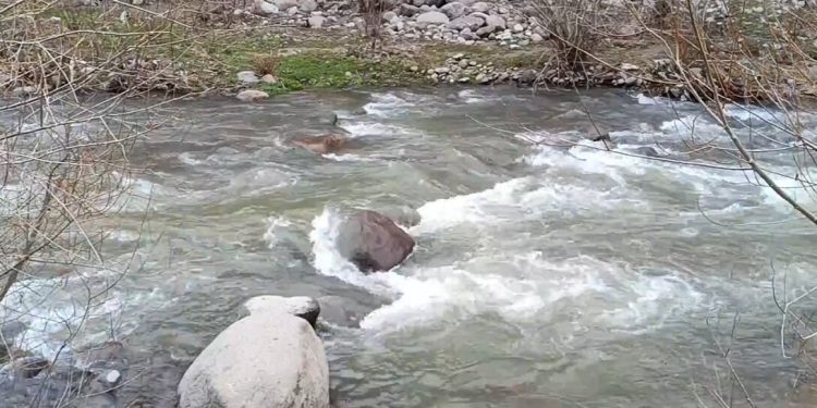 ساماندهی مسیرهای هدایت آب در پارک جنگلی نور