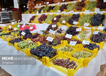 نهمین جشنواره شگفت‌انگیز انگور ارومیه برگزار می‌شود