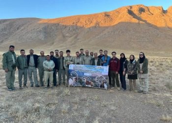 سرشماری تابستانه علفخواران مهم در مناطق حفاظت‌شده
