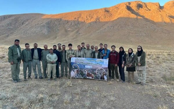سرشماری تابستانه علفخواران مهم در مناطق حفاظتشده