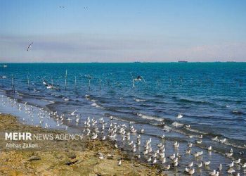 سواحل بوشهر در انتظار باد و موج؛ گردوخاک در افق نمایان شد