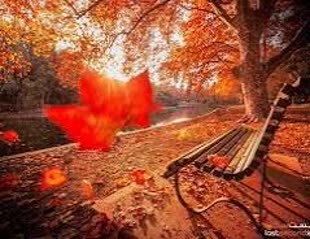شاعرانه های پاییز در معرفت عاشقانه شاعران