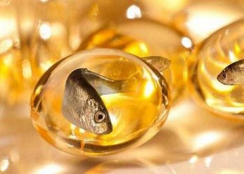 مقایسه ماهی سالمون و مکمل روغن ماهی؛ کدام‌یک برای سلامت مغز مفیدتر است؟
