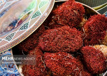 سومین جشنواره ملی زعفران در آبان ۱۴۰۵ به میزبانی مشهد برگزار خواهد شد