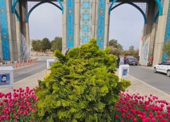 فوت بیش از ۱۰ هزار نفر در مشهد ثبت شد