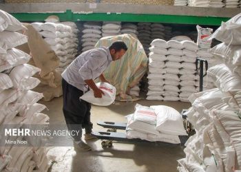 اختلاط برنج در بازار؛ بار مالی جدید بر دوش مصرف‌کنندگان