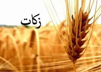 استفاده بهینه از ظرفیت‌های مردمی ضروری است