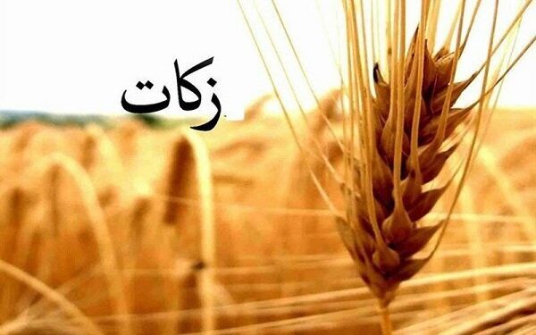 استفاده بهینه از ظرفیت‌های مردمی ضروری است
