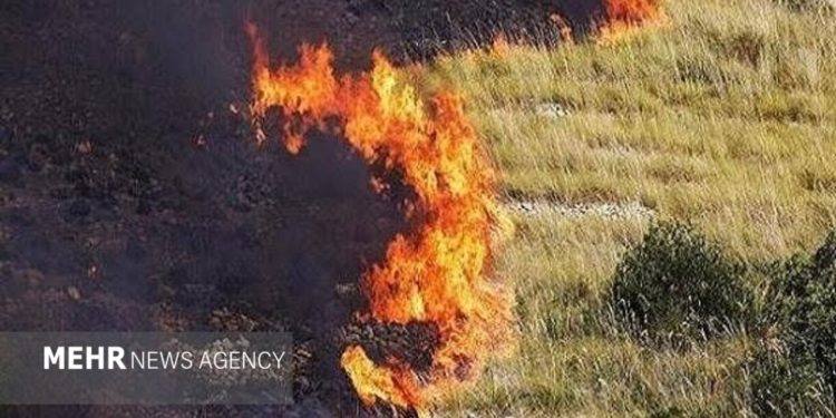 آتش‌سوزی در مراتع نزدیک منطقه شکار ممنوع سالوک تحت کنترل درآمد