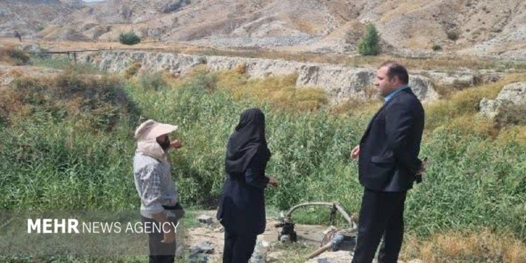 توقف کشت با آب آلوده در «دره کمبل» گچساران