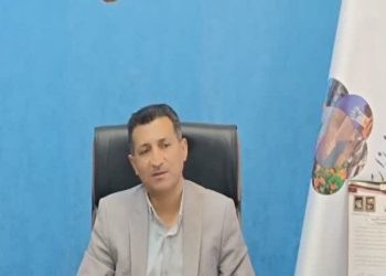 تسهیل صادرات خرما از بروات؛ بازنگری در تعرفه‌های گمرکی در دستور کار قرار گرفت