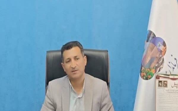 تسهیل صادرات خرما از بروات؛ بازنگری در تعرفه‌های گمرکی در دستور کار قرار گرفت