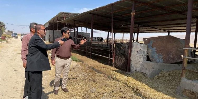 حمایت از سرمایه‌گذاری اقتصادی و تولیدکنندگان در کشور