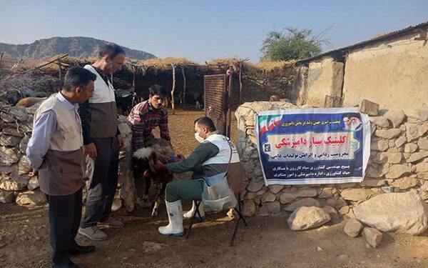 واکسیناسیون رایگان ۱۴ هزار دام در رزمایش جهادی کازرون آغاز شد