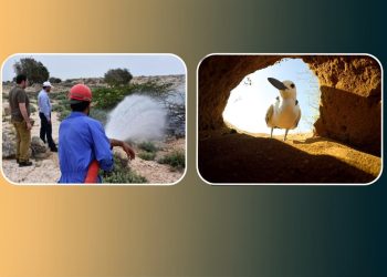 نمایش‌های «شیدور» و «آدریانا: مسافری از ایتالیا» در جشنواره «باران» به صحنه می‌روند
