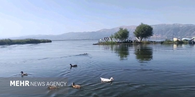 بررسی تنوع زیستی تالاب زریبار در نشست تخصصی دانشگاه کردستان