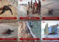 حملات عربستان به قایق‌های ماهیگیری در تعز؛ ۸ ماهیگیر یمنی جان باختند