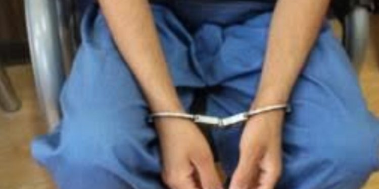 دستگیری کلاهبردار ۱۰ میلیارد تومانی در کرج