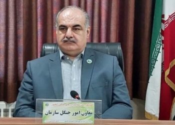 ابلاغ سند مدیریت پایدار جنگل‌های زاگرس در آینده‌ای نزدیک